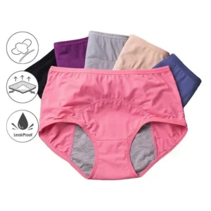 Amazon Clearance Sale🔥🔥-2024 new upgrade high waist leak proof panties