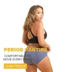 Amazon Clearance Sale🔥🔥-2024 new upgrade high waist leak proof panties