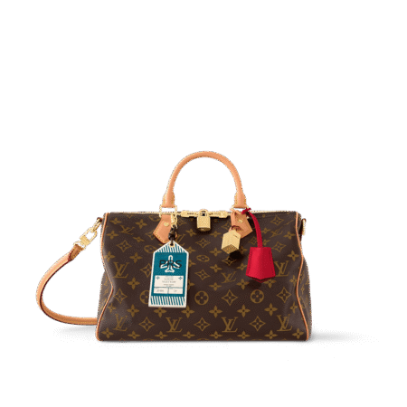 1:1 Replica LOUIS VUITTON Speedy Soft 30 Crafty